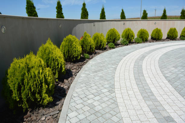 Reasons to Select Us for Your Driveway Paving Requirements in Alturas, CA